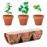 Set vase teracotă - 3 ierburi