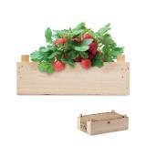 Kit căpșuni în cutie de lemn